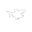 BRSeason02Shark - Shark - 