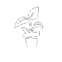OtherBanner55 - Plant - 